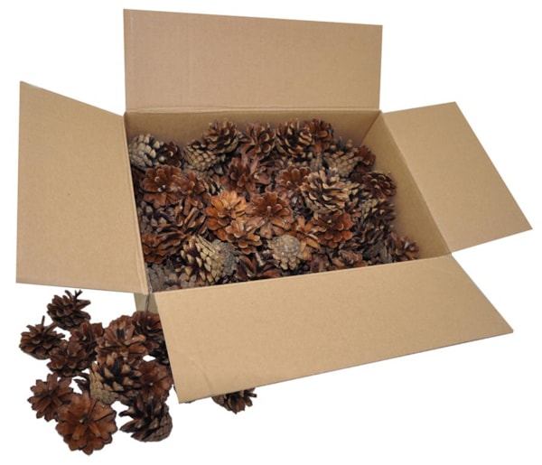 Tallkottar ca. 125 st